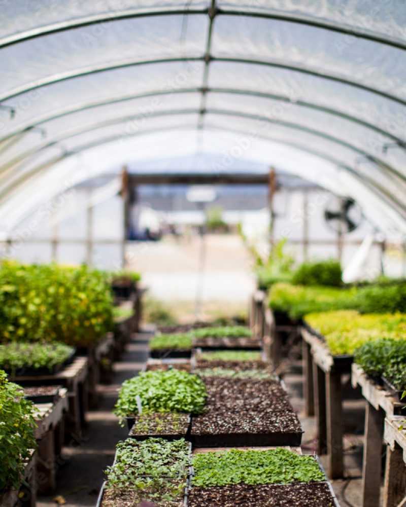 AdobeStock_204111616_Preview