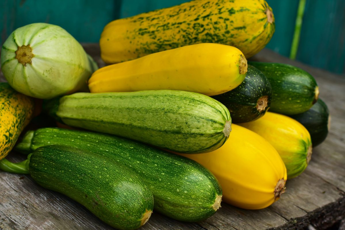 Autumnal,Harvest,Squash,And,Zucchini,Variety,On,Wooden,Background.,Harvesting